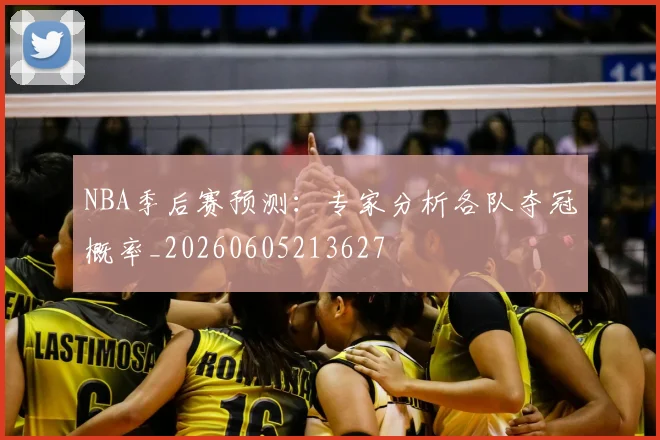 NBA季后赛预测：专家分析各队夺冠概率_20260605213627