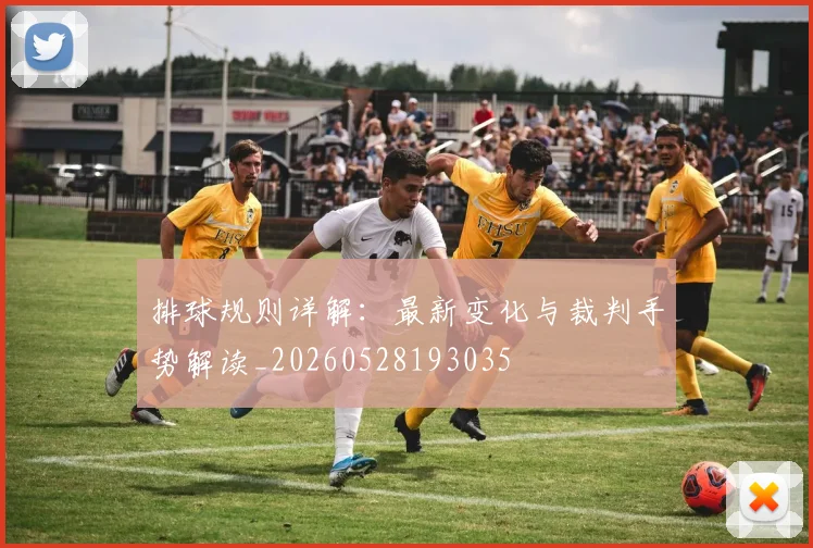 排球规则详解：最新变化与裁判手势解读_20260528193035